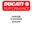 DUCATI 999S LONG CARBON HUGGER